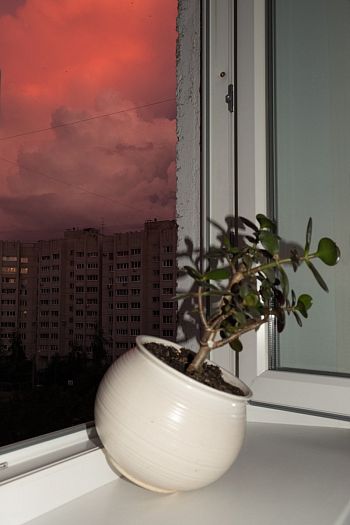 Без названия