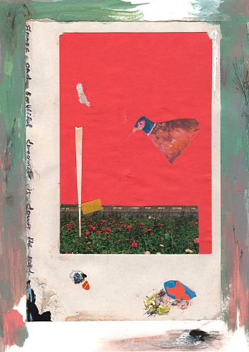 Strange and beautiful dreamer