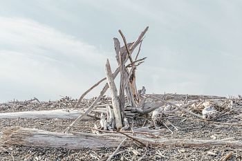 «Башня из соленого дерева» из проекта «Планета Колыма»