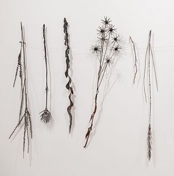 Из серии «Зимний гербарий»