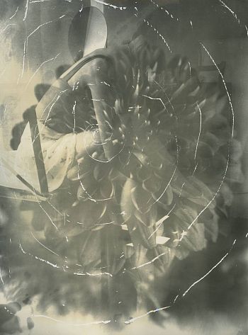 Без названия