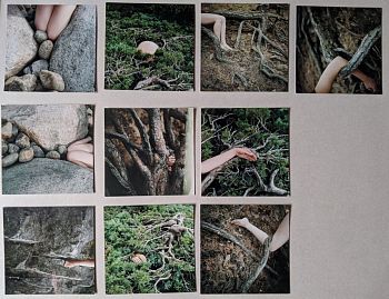 Без названия