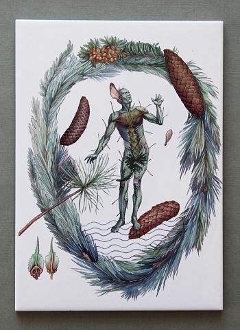 «Шишка». «Вести из ниоткуда»