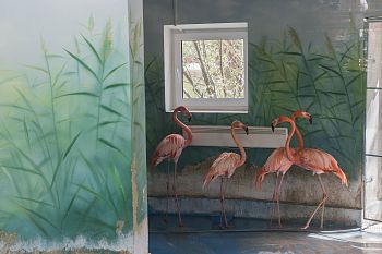 Из серии "In captivity II"