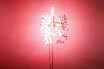 Corporeal mineralogy