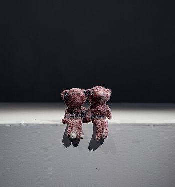 Teddy 72