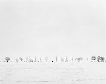 Всадник в персиковом саду