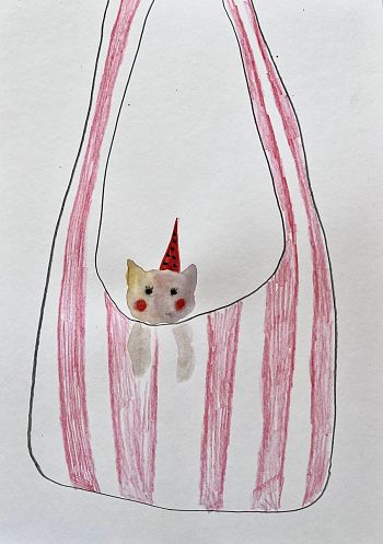 Котенок в пакете