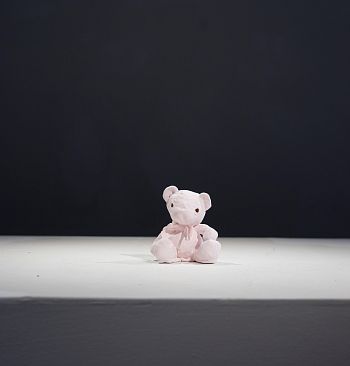 Teddy 34