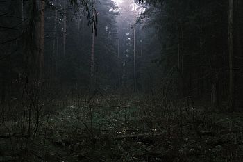 Из серии "The liminal space"