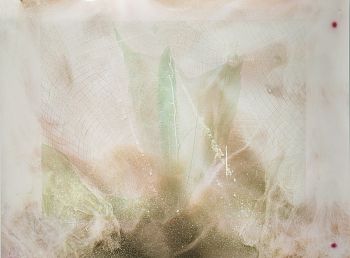 Sublime landscapes / Гибридные ландшафты