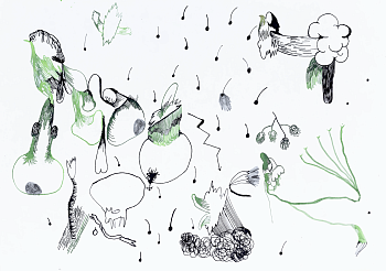 Без названия