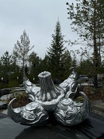 Сувенир trapa natans