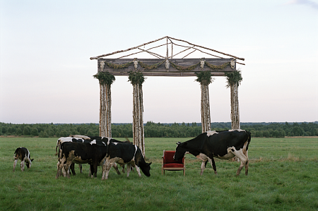 Карго палладианский портик