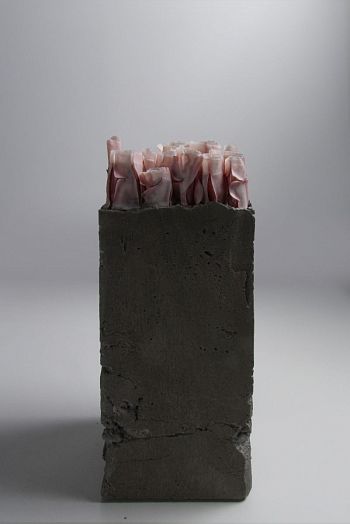 Объект №2 из серии «Дневник»