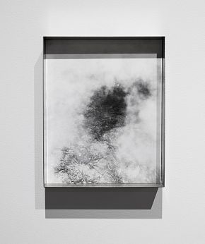 Pale shelter. Из серии «Pale Shelters»