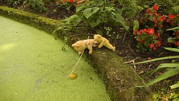 Достают мяч